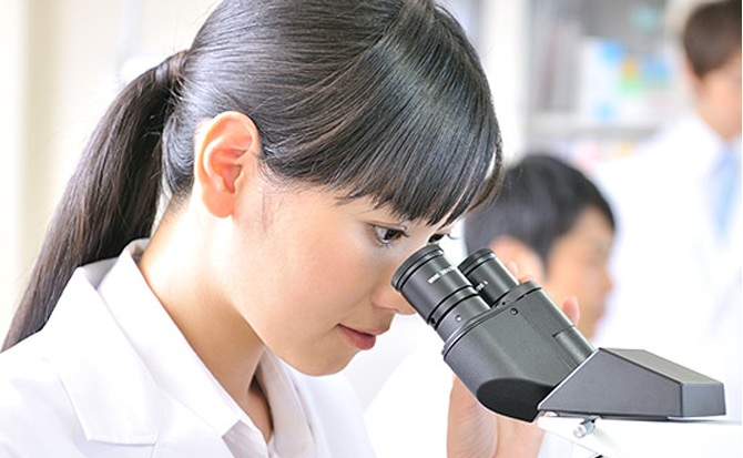 医療用医薬品分野